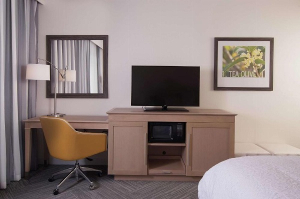 Hampton Inn & Suites by Hilton Augusta-Washington Rd image 21